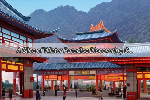 A Slice of Winter Paradise Discovering Chinas Snow Peaches Through Korean Eyes